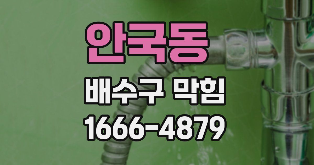 안국동 배수구 막힘