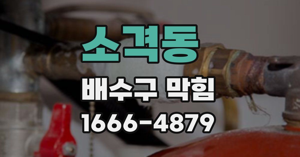 소격동 배수구 막힘