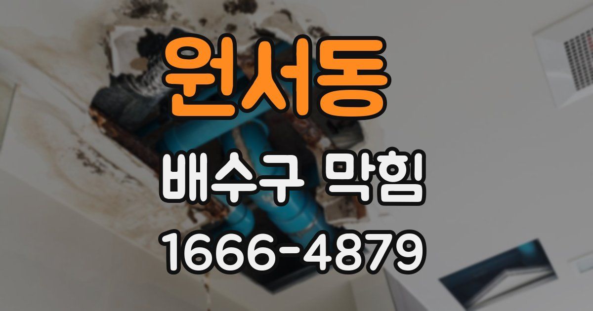 원서동 배수구 막힘