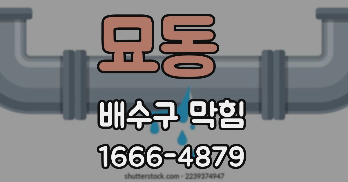 묘동 배수구 막힘