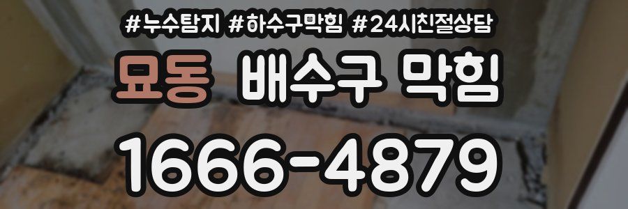 묘동 배수구 막힘