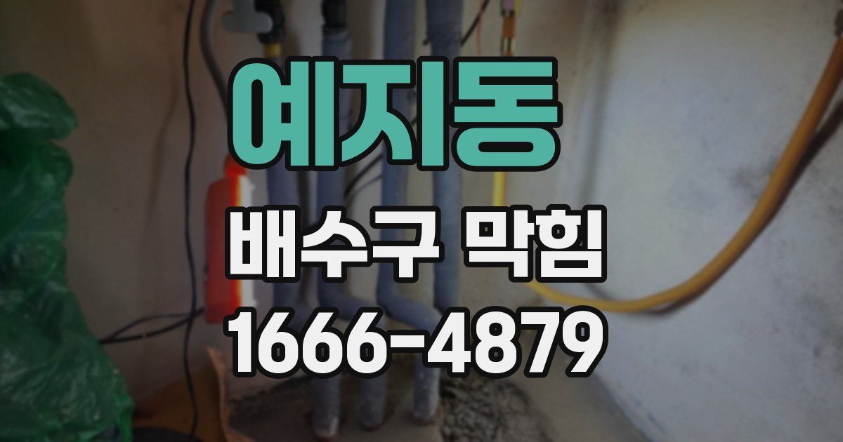예지동 배수구 막힘