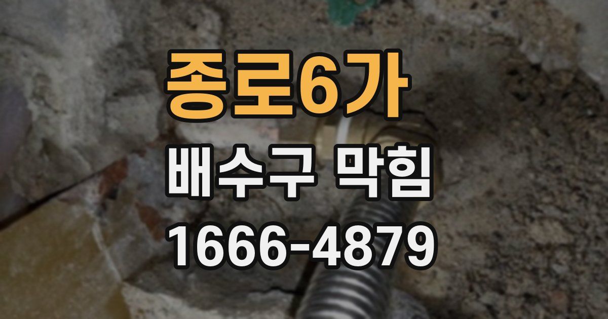 종로6가 배수구 막힘