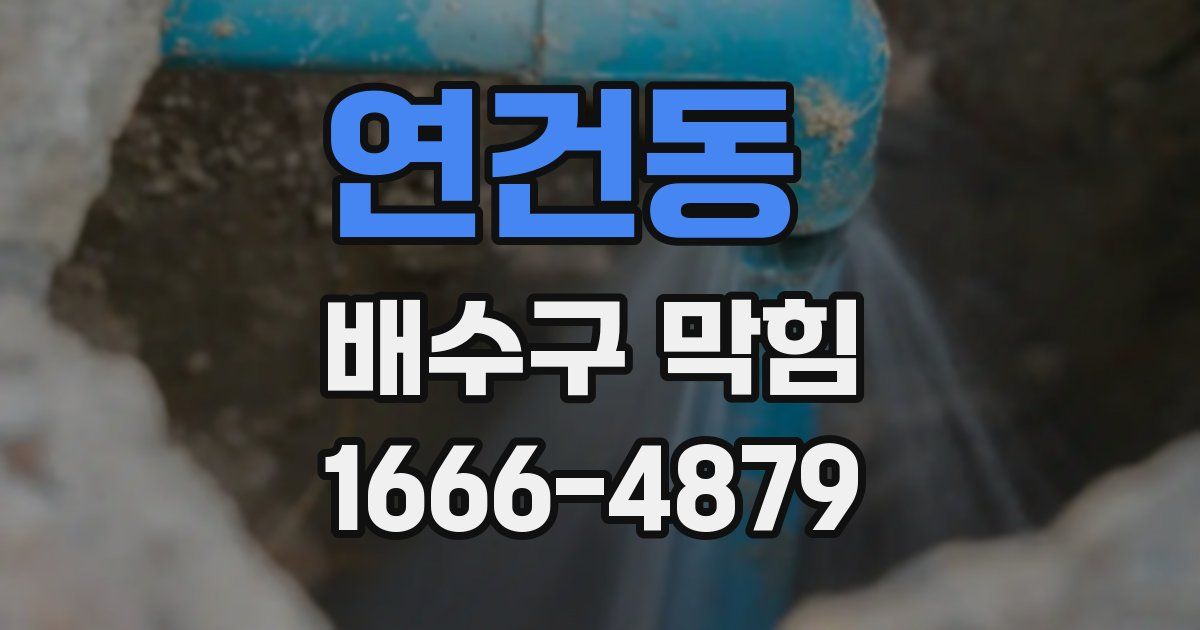 연건동 배수구 막힘