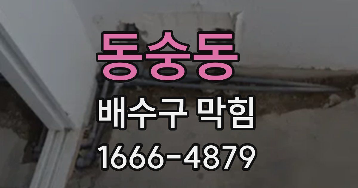 동숭동 배수구 막힘