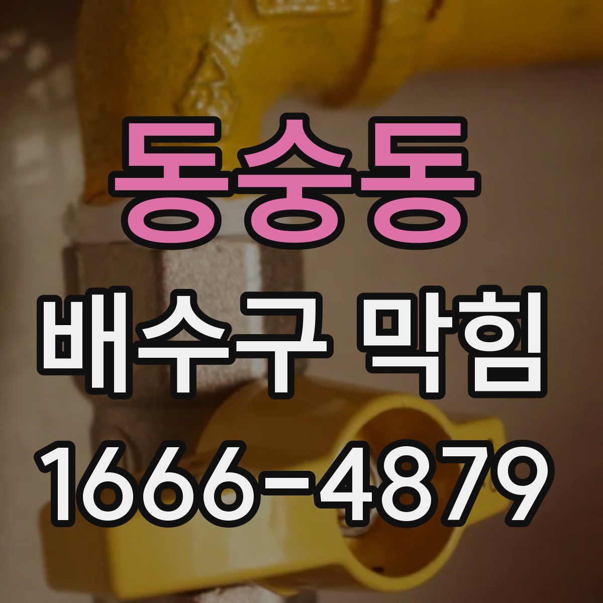 동숭동 배수구 막힘