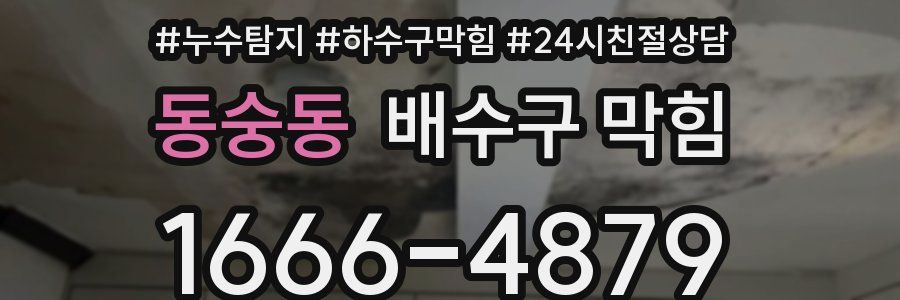 동숭동 배수구 막힘