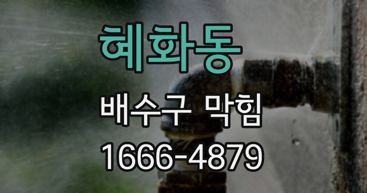 혜화동 배수구 막힘