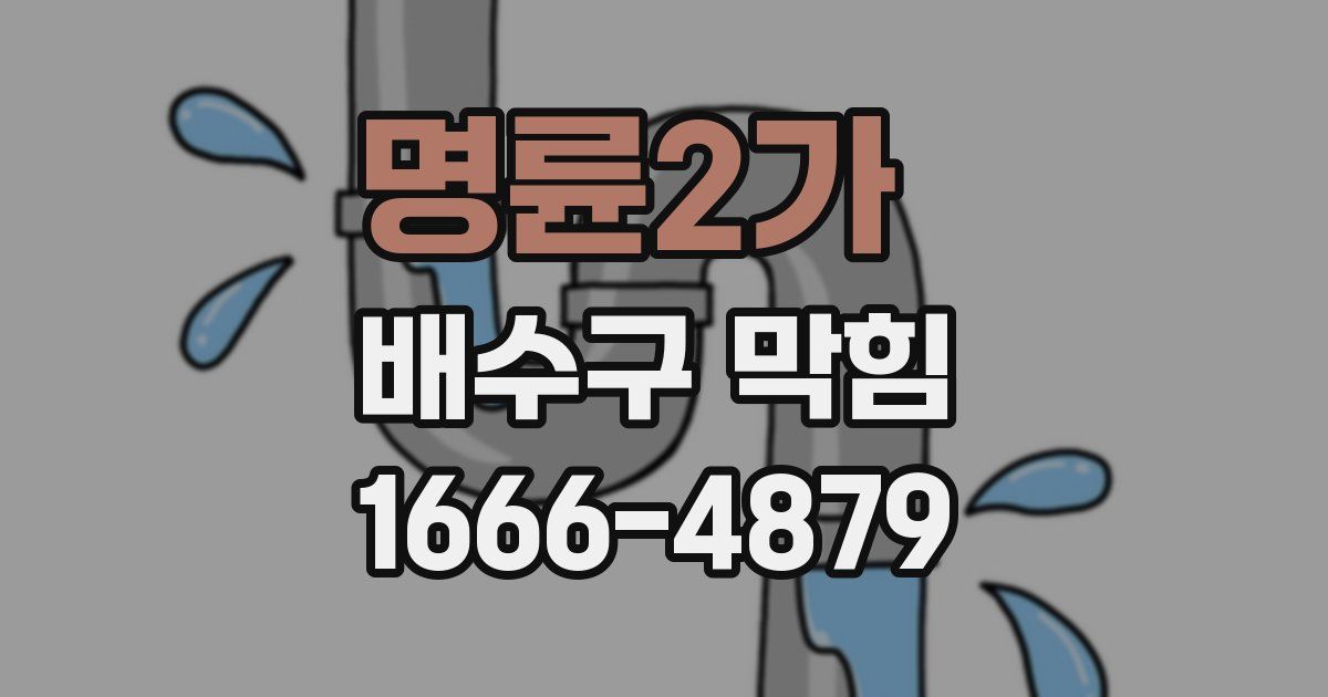 명륜2가 배수구 막힘