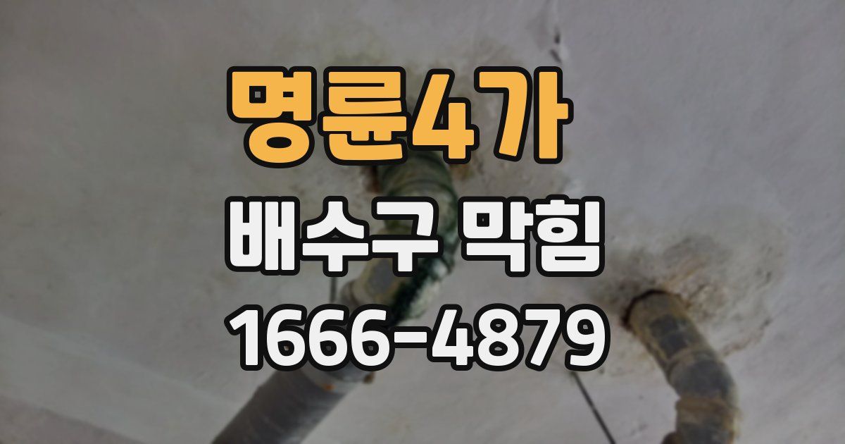 명륜4가 배수구 막힘