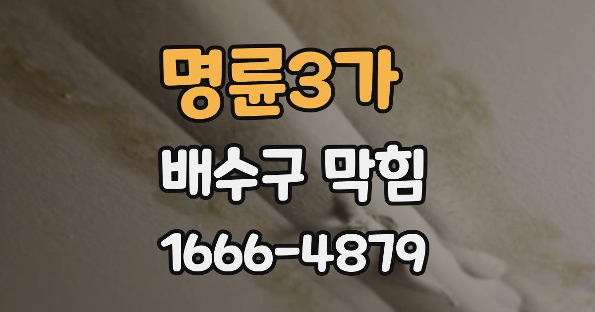 명륜3가 배수구 막힘