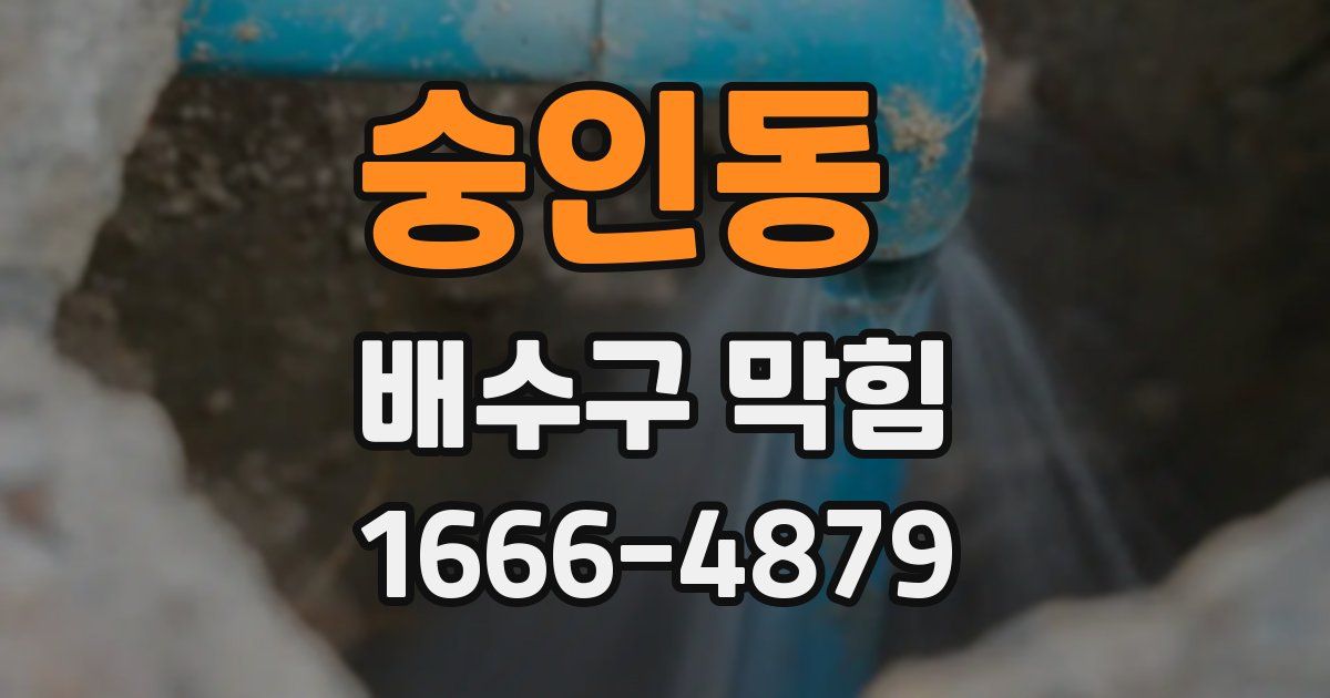 숭인동 배수구 막힘