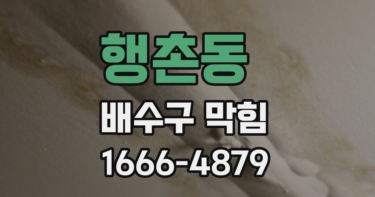행촌동 배수구 막힘