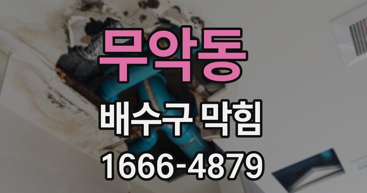 무악동 배수구 막힘
