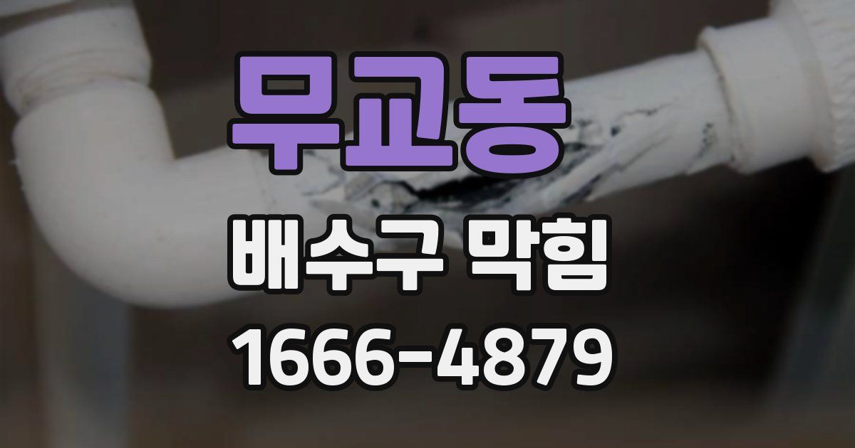 무교동 배수구 막힘