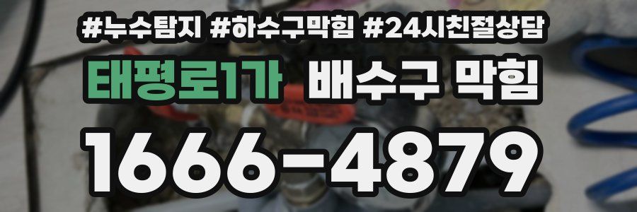 태평로1가 배수구 막힘