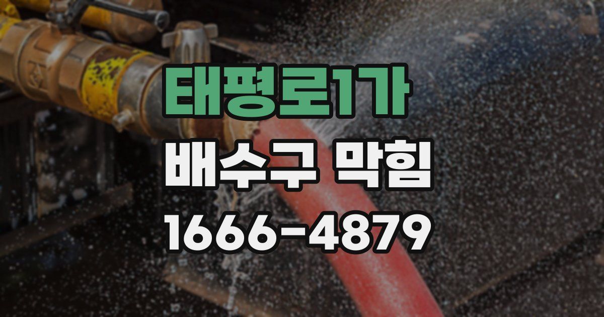 태평로1가 배수구 막힘