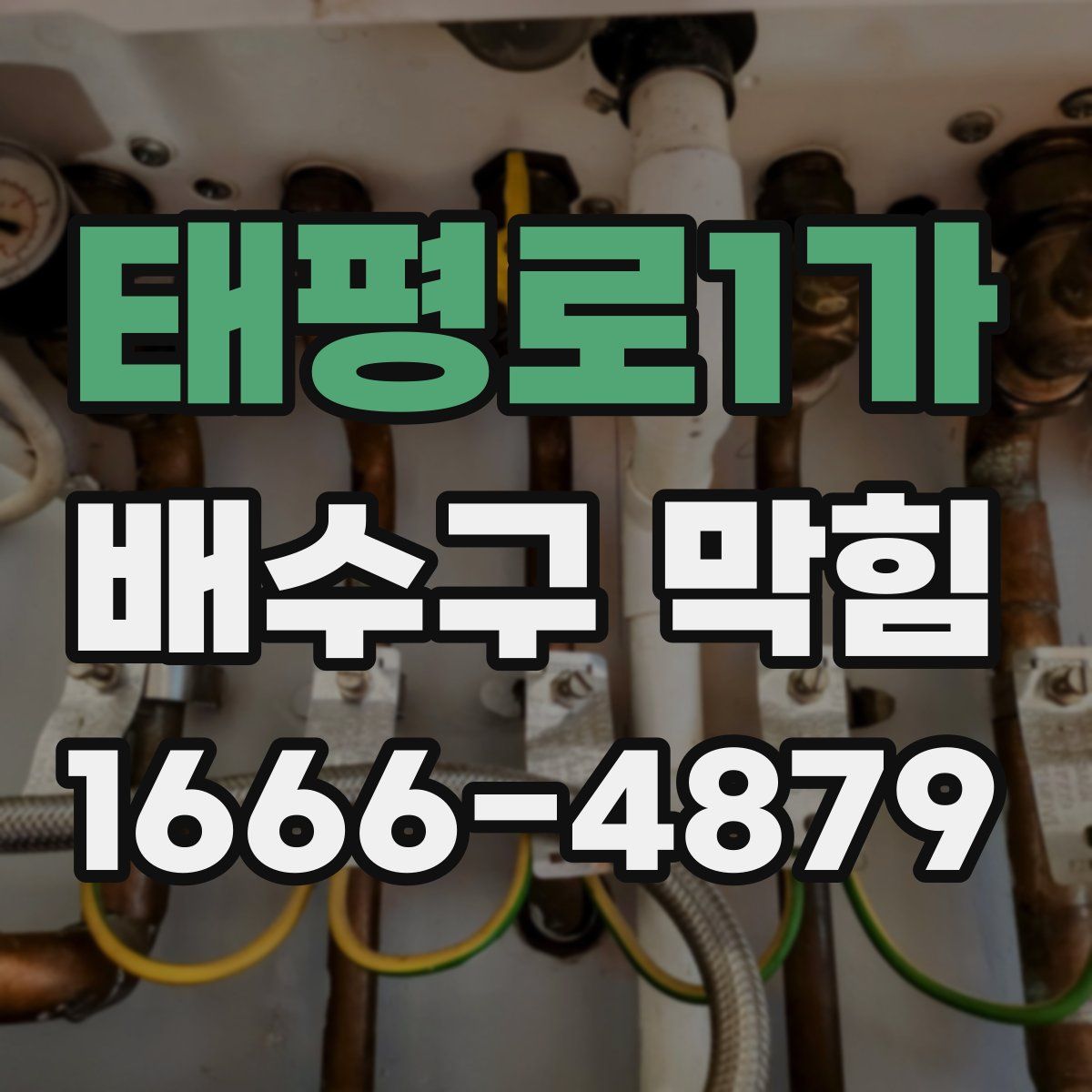 태평로1가 배수구 막힘