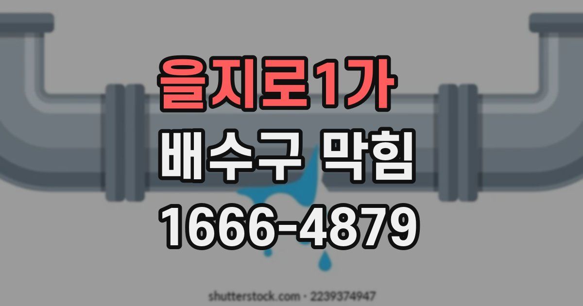 을지로1가 배수구 막힘