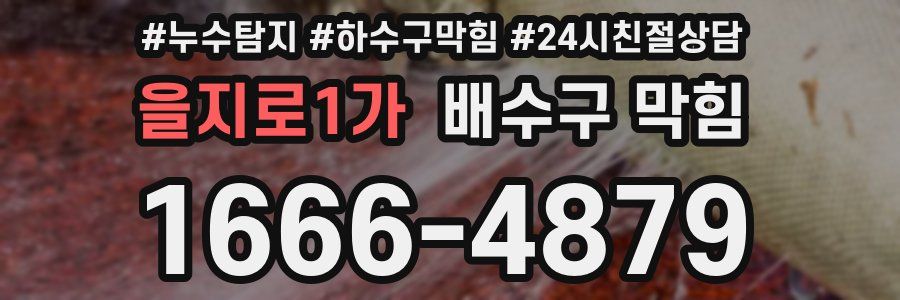 을지로1가 배수구 막힘