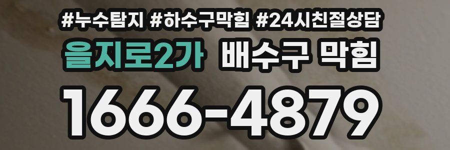 을지로2가 배수구 막힘
