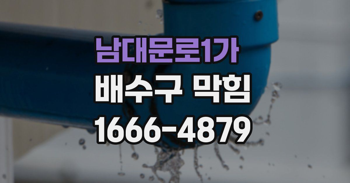 남대문로1가 배수구 막힘