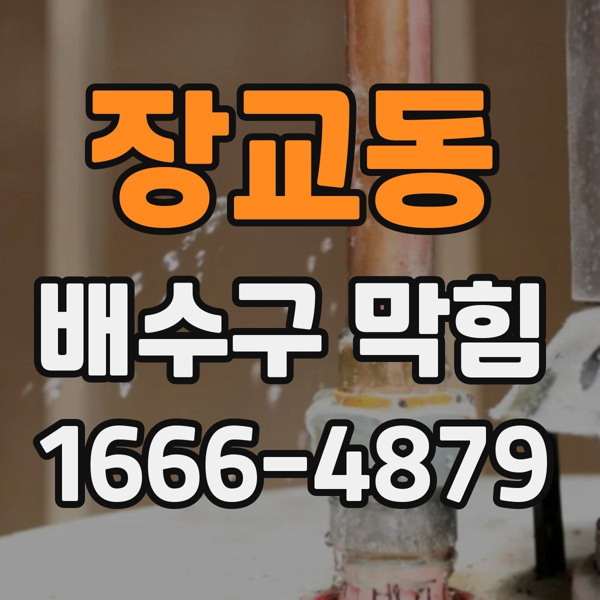 장교동 배수구 막힘