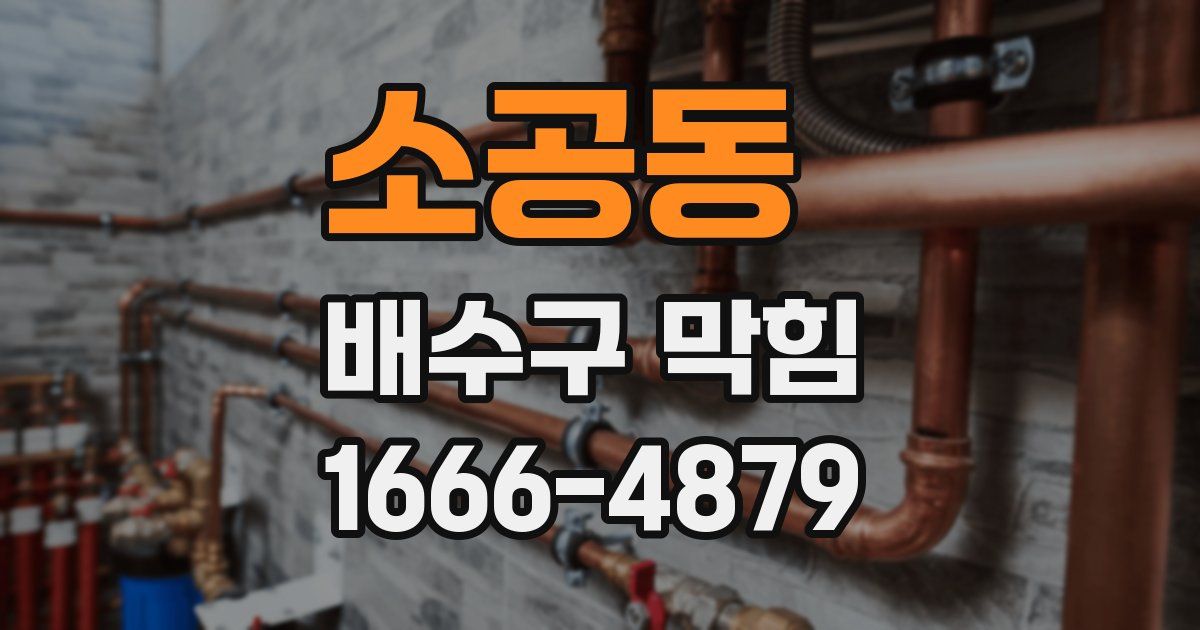 소공동 배수구 막힘