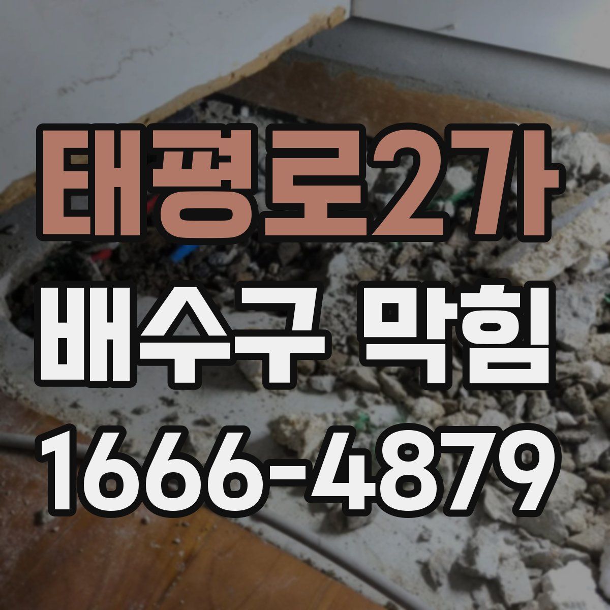 태평로2가 배수구 막힘