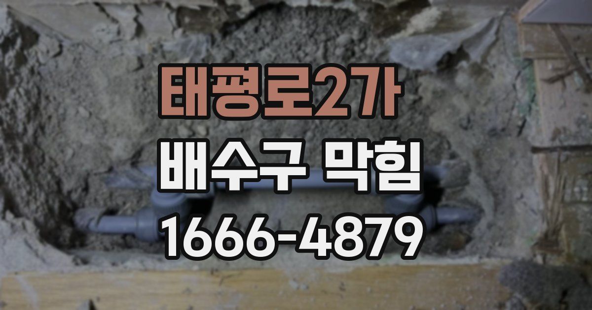 태평로2가 배수구 막힘