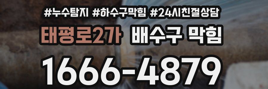 태평로2가 배수구 막힘