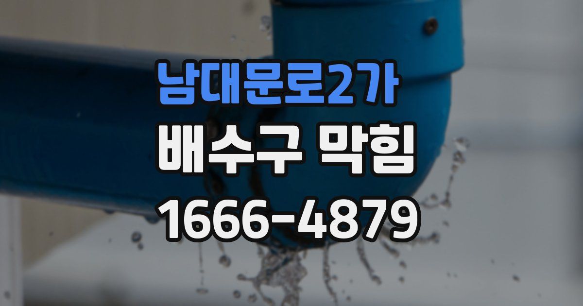 남대문로2가 배수구 막힘