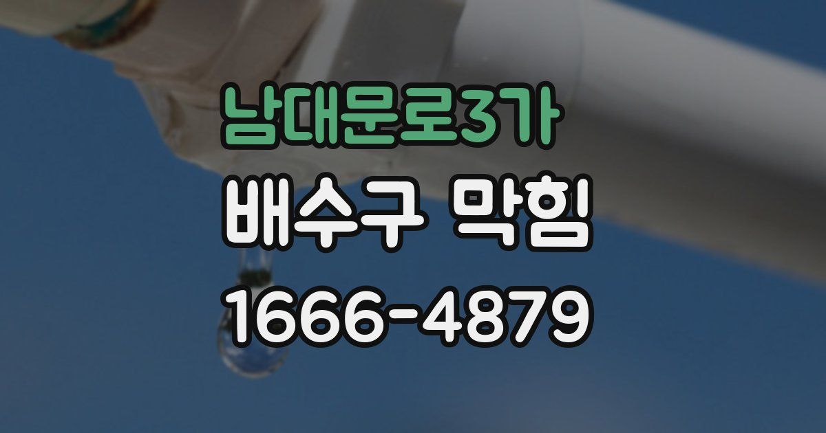남대문로3가 배수구 막힘