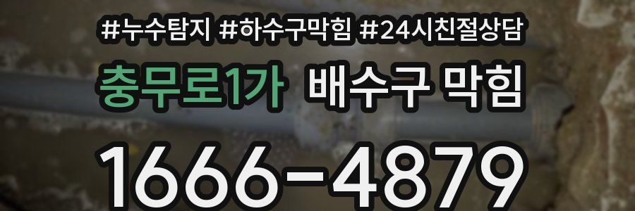 충무로1가 배수구 막힘