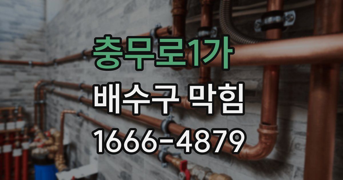 충무로1가 배수구 막힘