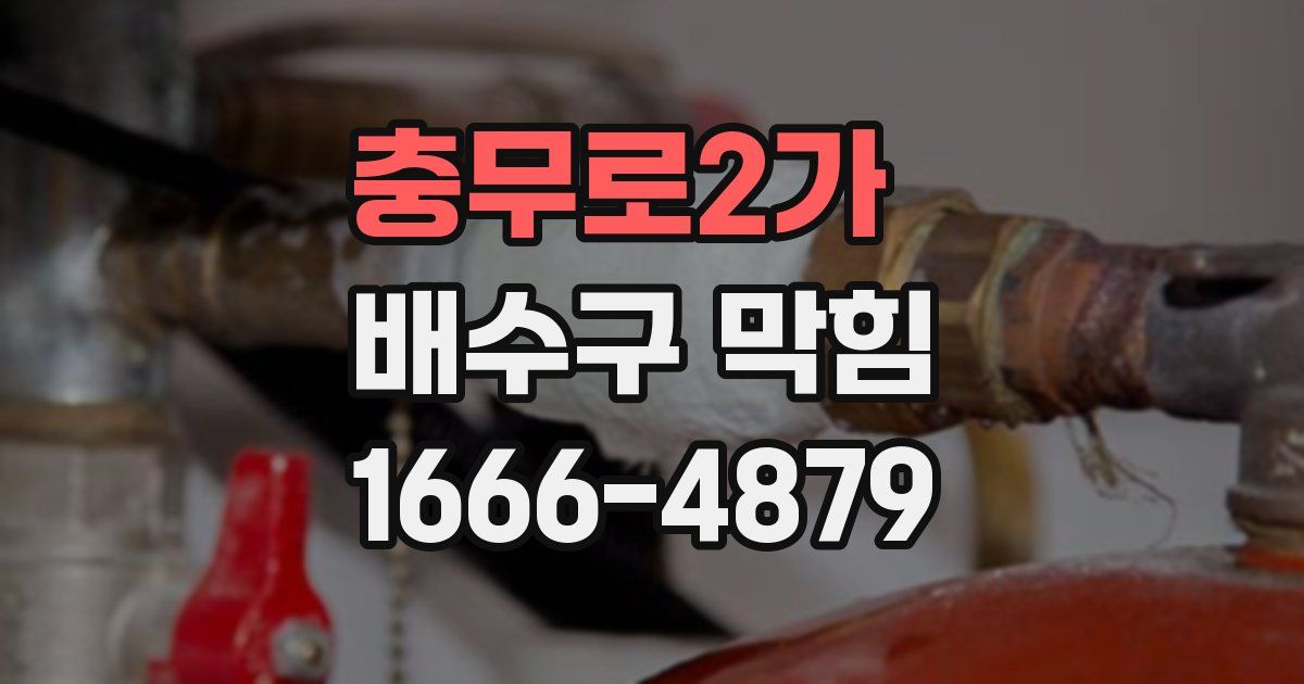 충무로2가 배수구 막힘