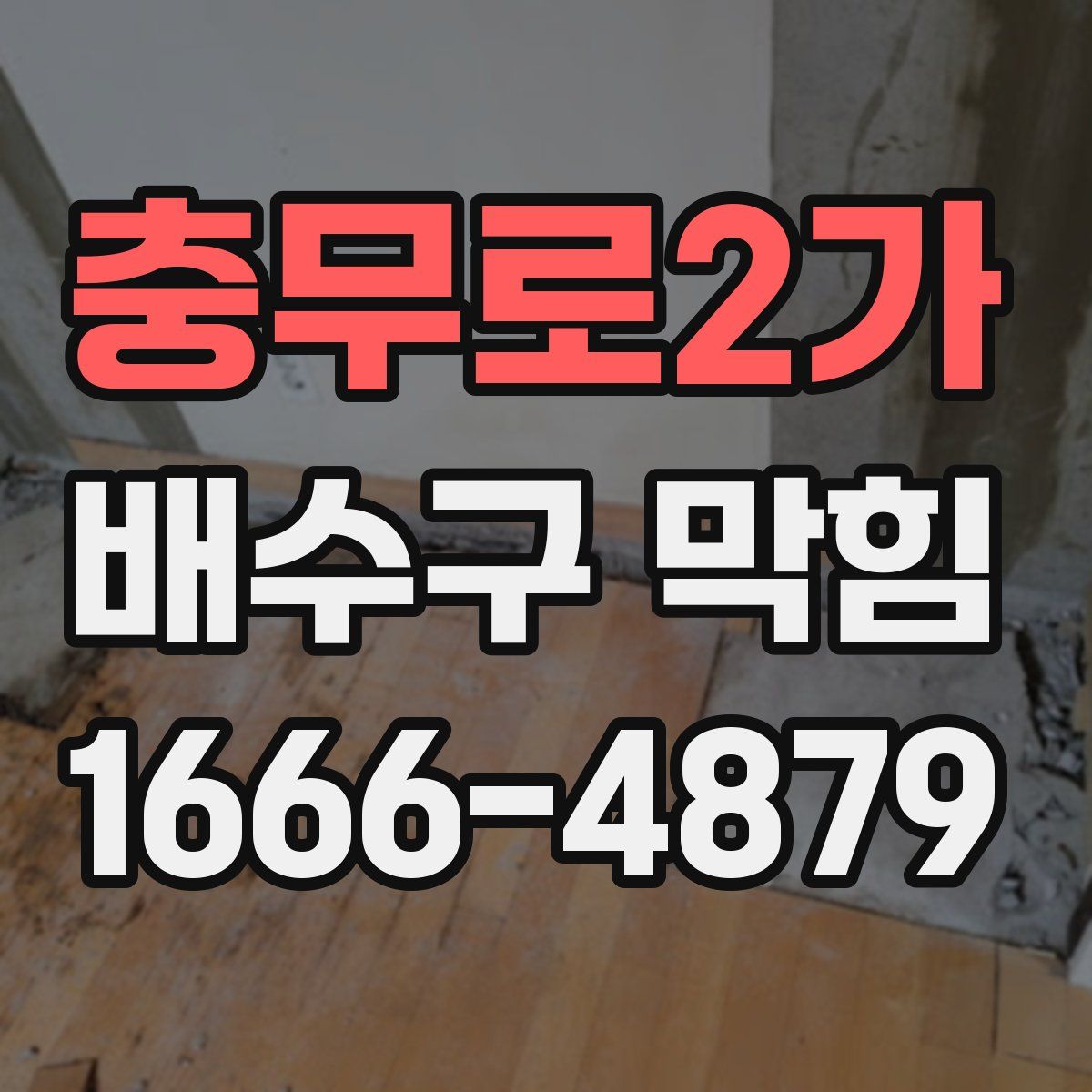 충무로2가 배수구 막힘