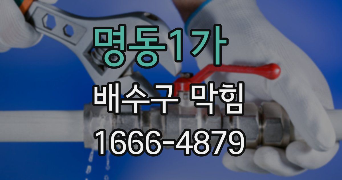명동1가 배수구 막힘