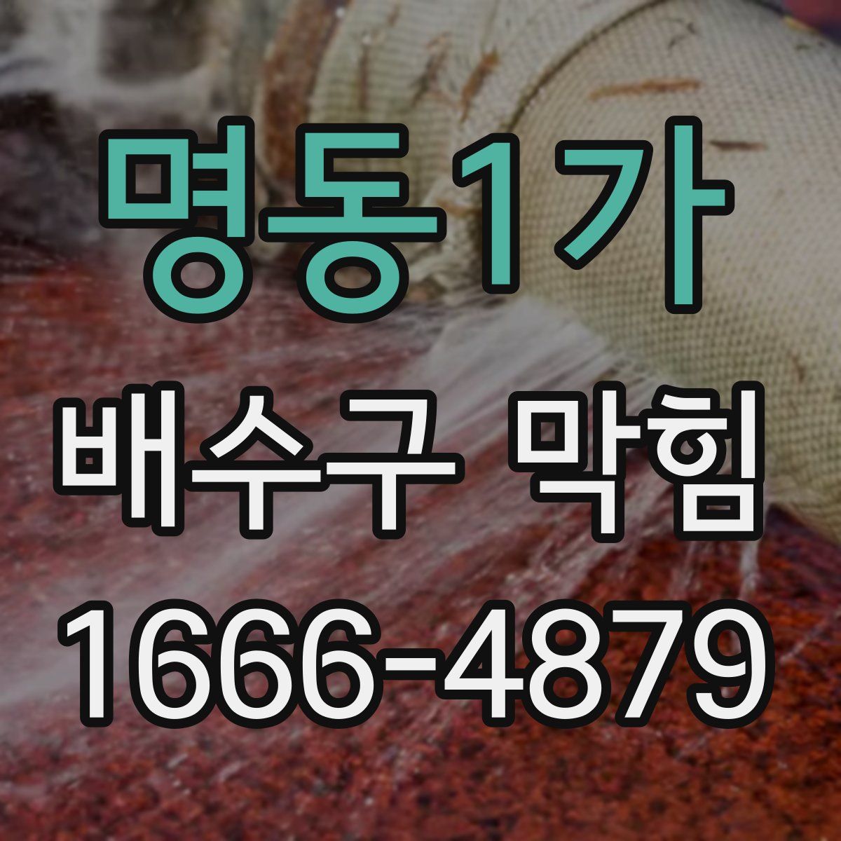 명동1가 배수구 막힘