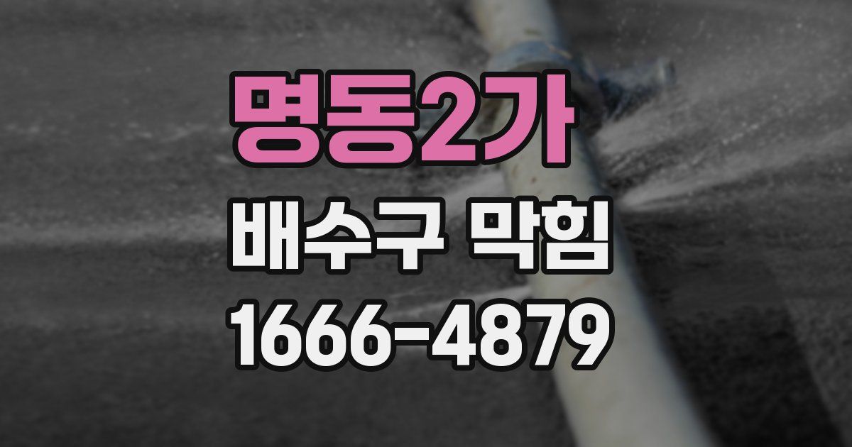 명동2가 배수구 막힘