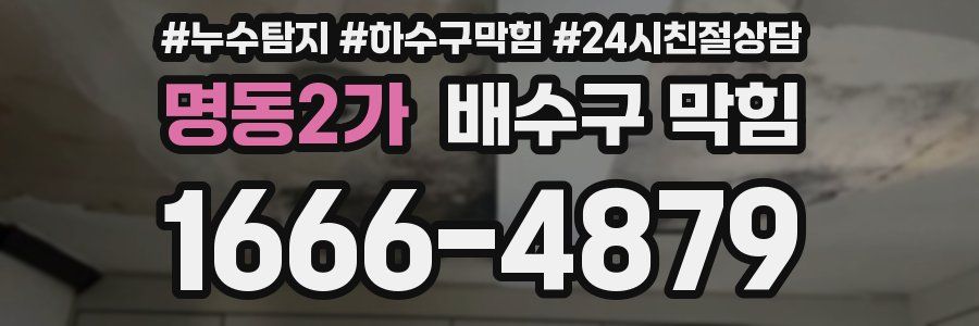 명동2가 배수구 막힘