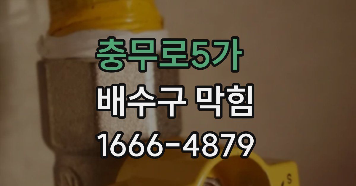 충무로5가 배수구 막힘