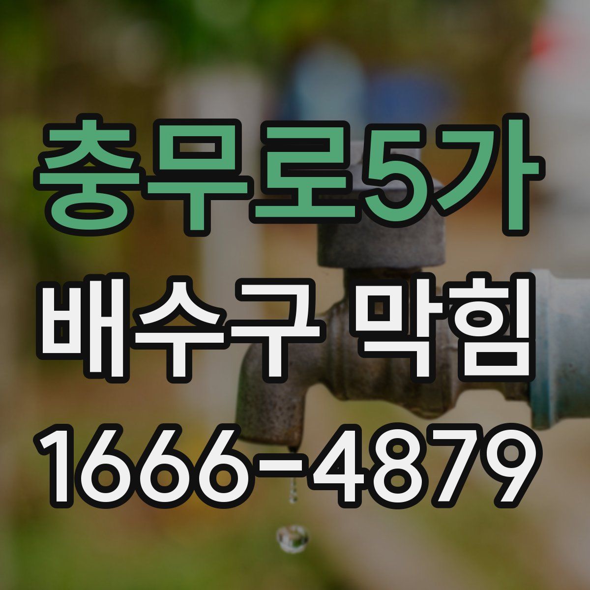 충무로5가 배수구 막힘