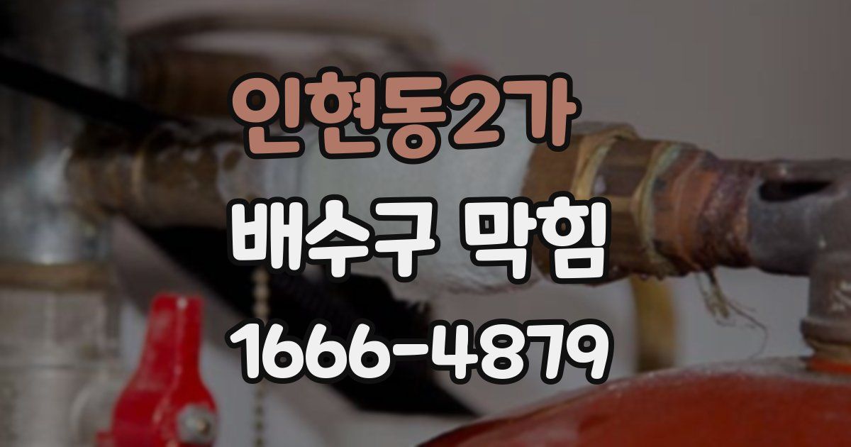 인현동2가 배수구 막힘