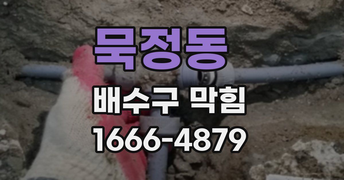 묵정동 배수구 막힘