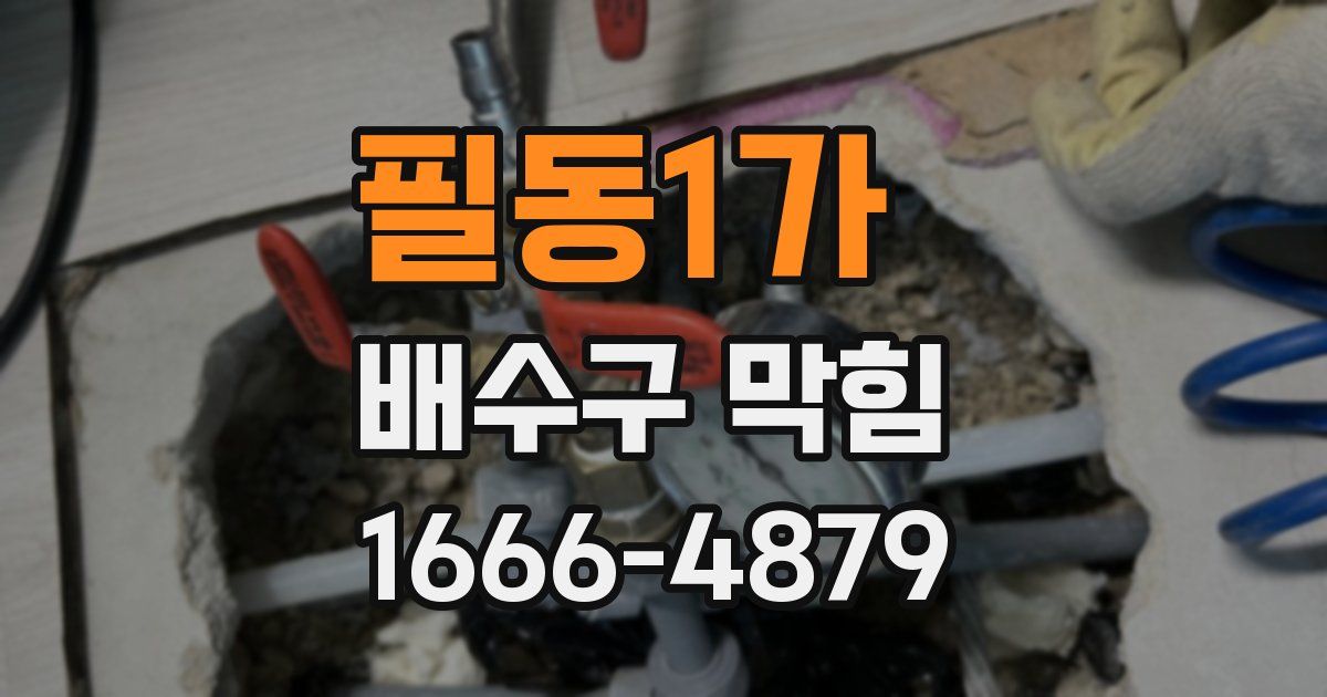 필동1가 배수구 막힘