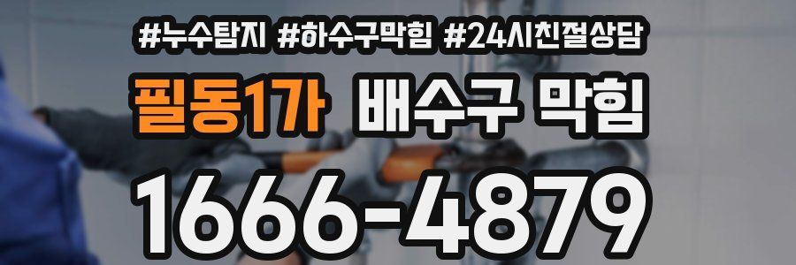 필동1가 배수구 막힘