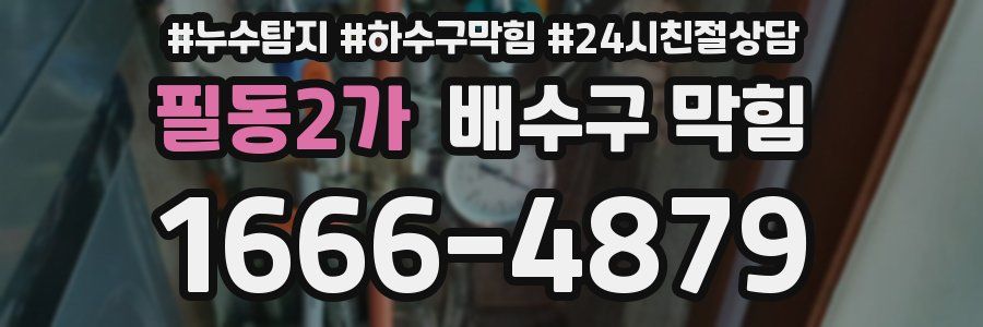 필동2가 배수구 막힘