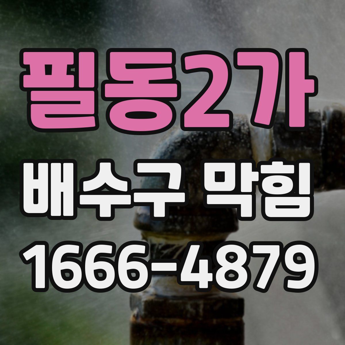 필동2가 배수구 막힘