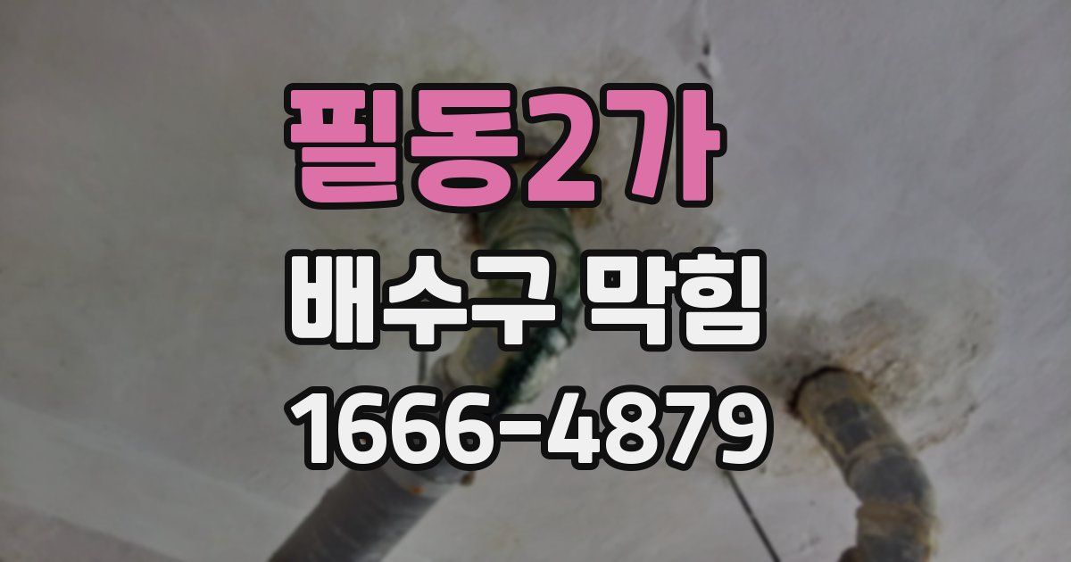 필동2가 배수구 막힘